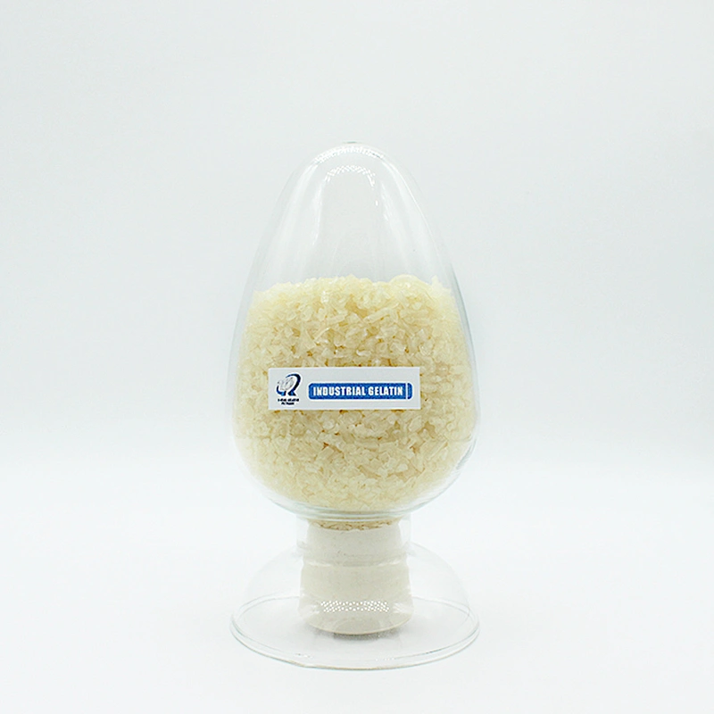 2024 Best Selling Animal Origin Halal Beef Gelatin Powder