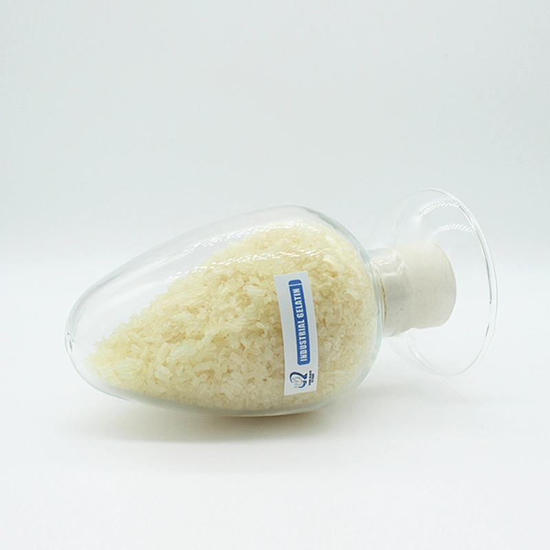 2024 Best Selling Animal Origin Halal Beef Gelatin Powder